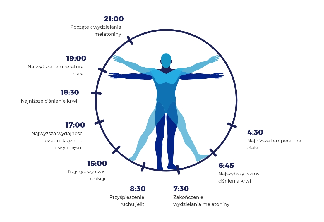 Rytm Oko Odobowy Cz Owieka Czym Jest Cykl Dobowy Melatonina Lek Am